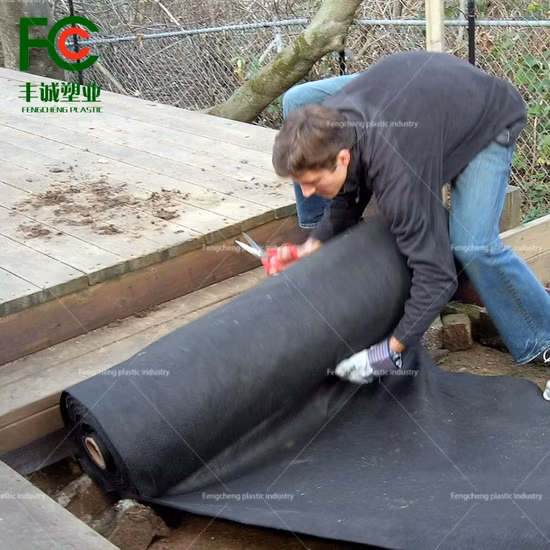 100 g/m² PP-Vlies-Unkrautmatte für Unkrautbekämpfungsveranstaltungen im Freien, Erdbeerfarm